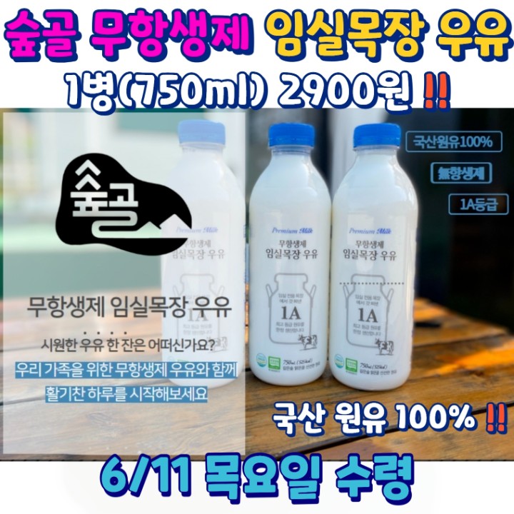 부추김치